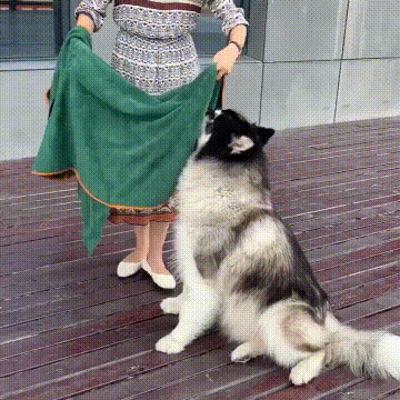 Bathrobe For Dogs Quick-Drying Dog Bath Towel For Dog